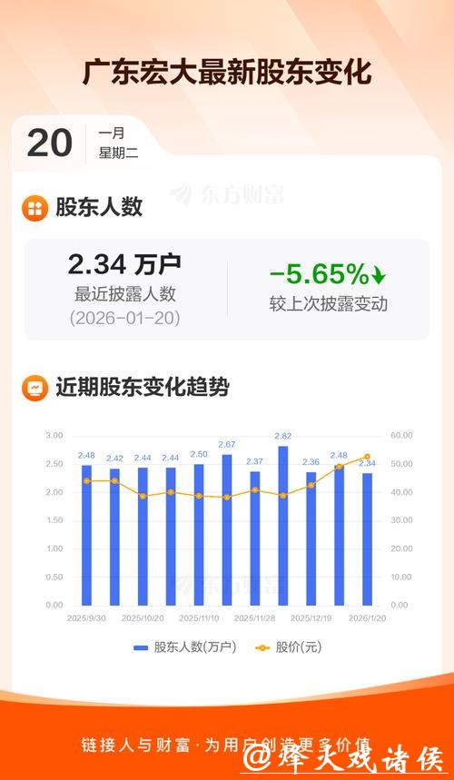 广东宏大股价异动,资金分歧与业绩分化引关注 广东宏大股价异动,资金分歧与业绩分化引关注
